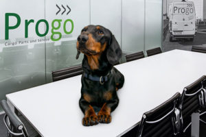 Progo-Team: Pepe, unser Bürohund